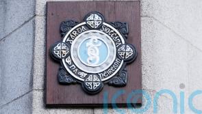 Woman dies following hit and run in Co Limerick