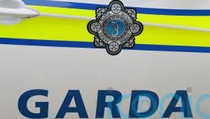 Man charged in relation to murder of woman in Roscommon