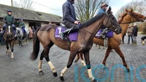 Mullins ‘delighted’ with Galopin Des Champs ahead of Dublin Racing Festival