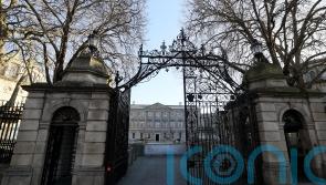 14 arrested at protest against Israel’s war in Gaza after Leinster House blocked