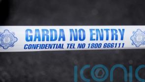 Teenage girl dies after car enters water in Co Tipperary