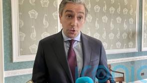 ‘Calm and measured dialogue’ required after Trump tariffs blocked, says Tanaiste