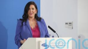 Deputy FM accuses Leo Varadkar of reinventing himself after Irish unity comments