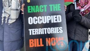 Ireland ‘leading the way’ with legislation to ban imports from Israel