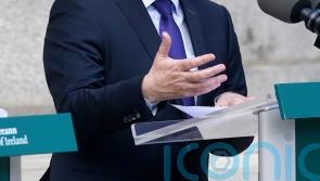 EU’s response to US 30% tariffs will be firm, quick and robust – Michael McGrath