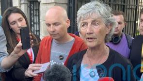 Connolly ‘seriously concerned’ about US veto over UNIFIL mandate