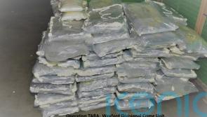 ‘Disconnect’ between those who take cocaine and impact of the drug – Kelly