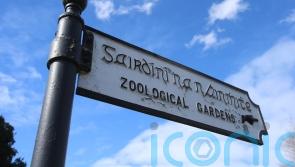 Dublin Zoo ‘vehemently disputes’ staff harassment and animal welfare claims