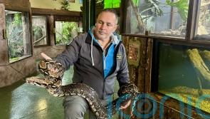 Reptile expert warns over &lsquo;surprising&rsquo; lack of regulation on exotic pets