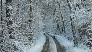 Carlow Council open severe weather event control centre following severe conditions in the County 