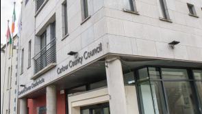 List of Carlow local election candidates for the 2024 local elections 