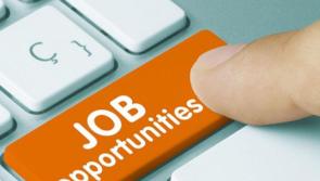 Carlow Local Enterprise Office clients have created more than 314 jobs in 2024