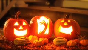 Carlow Council, Gardai, and Fire Services issue safety warning in the run-in to Halloween 