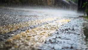'Dull damp day ahead' Carlow Weatherman provides update on Carlow weather 