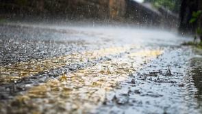 WEATHER: 'Outbreaks of rain and drizzle' A wet day ahead on Carlow' daily forecast