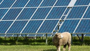 Ifac advises Carlow farmers to carefully consider all solar options