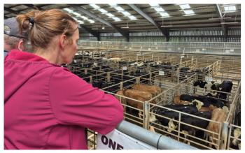 'The fight for the future of Irish farming is already underway' - Natasha Newsome Drennan TD