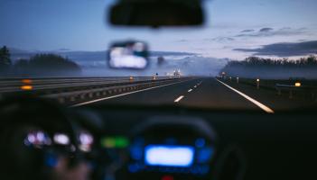 Dogs loose on M9, motorists in Carlow advised to drive with caution