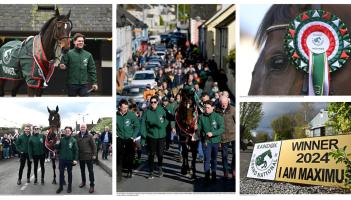 PICTURES: I Am Maximus and Willie Mullins parade through Carlow to a huge crowd