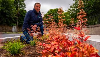 Carlow concrete spaces given over to 'rain gardens'