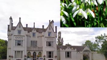 WHAT'S ON: 14th anniversary of annual Snowdrop Gala set to take place in Carlow