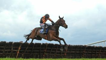Homecoming details announced for Grand National winner in County Carlow