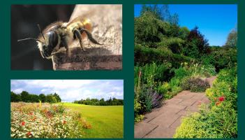 WHAT'S ON: OPW launches exciting event at Carlow gardens as part of bio diversity week