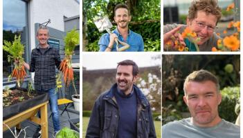 'From rugby to roses' as Irish rugby legend set for Carlow Garden Festival this weekend