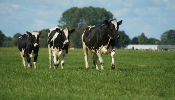 Congratulations! Young man from Carlow makes the final of FBD Young Farmer of the Year 2025