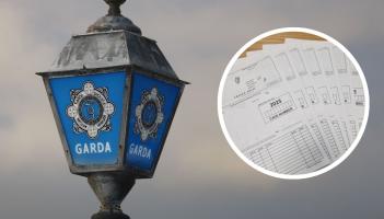 ‘Absolute clown’: Driver arrested in Carlow as gardai detect six serious crimes