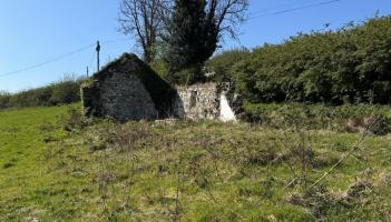 PROPERTY: Derelict one acre site for sale in Carlow for €150,000
