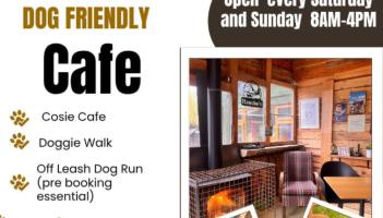 Popular Carlow business to revamp as dog-friendly café with pre-bookable dog run