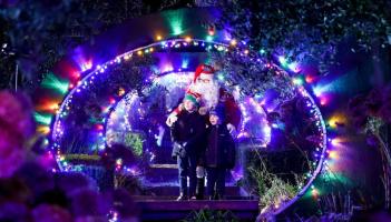 'Enchanting' Christmas Wonderland to come alive in popular Carlow gardens this weekend