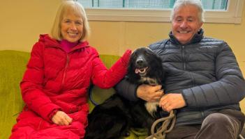'Three very happy faces'- Huge praise after couple adopts stray from Carlow shelter