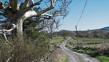 Over half a million euros in additional funding secured to improve private roads in Carlow