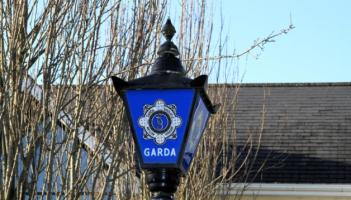 UPDATE: Carlow Gardaí issue appeal after car set on fire in the driveway of a house
