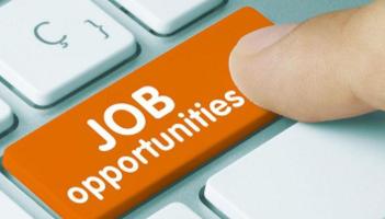 Job Alert: Multiple new job opportunities with Carlow County Council have opened up