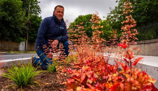 Carlow concrete spaces given over to 'rain gardens'