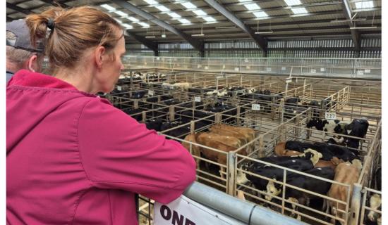 'The fight for the future of Irish farming is already underway' - Natasha Newsome Drennan TD