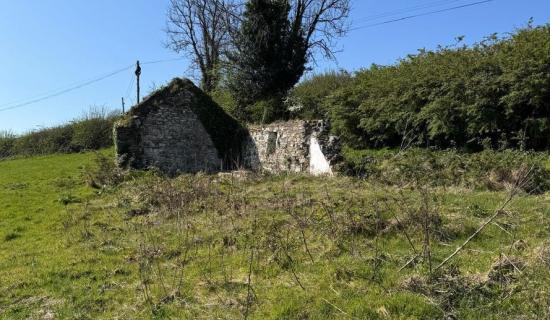 PROPERTY: Derelict one acre site for sale in Carlow for &euro;150,000