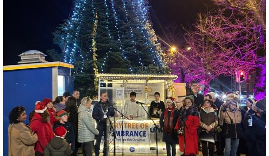 Remembrance Tree returns to Barrack Street as moving Carlow tradition marks 15th year
