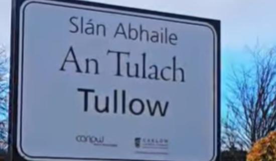 New 'living haven' biodiversity garden almost ready for opening in Carlow