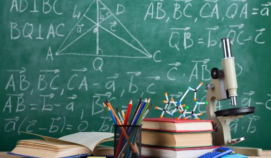 Special classes confirmed for Carlow school will help children 'reach full potential'