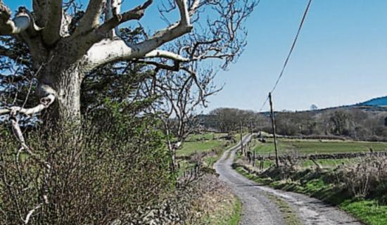 Over half a million euros in additional funding secured to improve private roads in Carlow