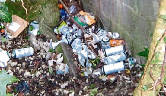 ALERT: New CCTV cameras in Carlow capture shocking number of people littering and dumping