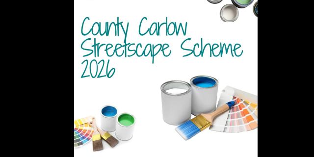 Want to spruce up your Carlow property? This new scheme offers a variety of enhancements