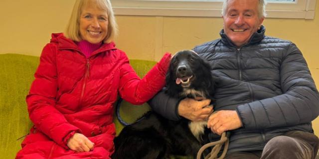 'Three very happy faces'- Huge praise after couple adopts stray from Carlow shelter