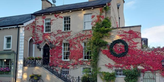 Big boost as town in Carlow secures &euro;50k funding under major national heritage scheme