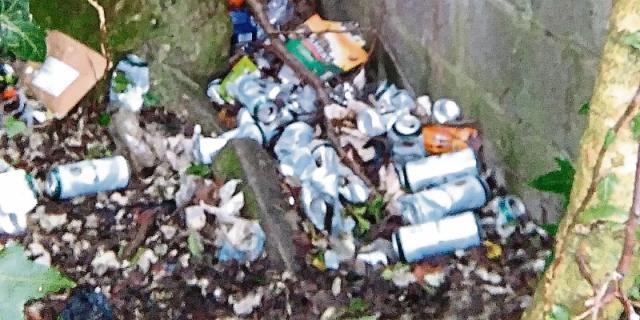 ALERT: New CCTV cameras in Carlow capture shocking number of people littering and dumping