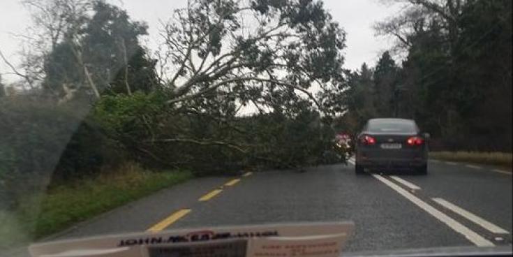 Alert: Met Eireann pinpoints when status yellow wind warning is set to hit 11 counties
